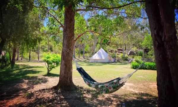 Swamis-bush