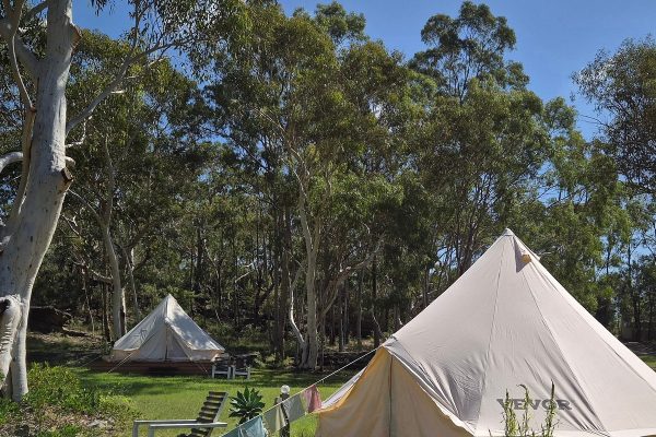 Swamis-tents